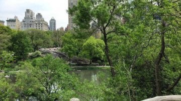 Hallet Sanctuary en Central Park