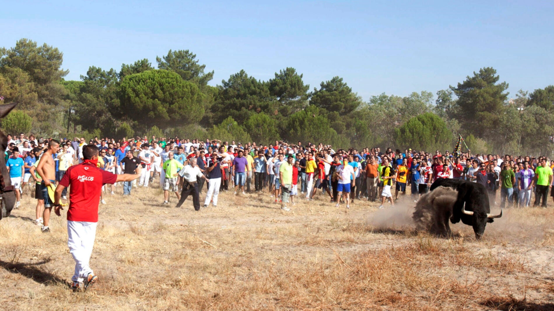 Imagen de archivo del Toro de la Vega