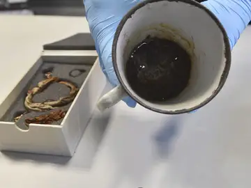 Las joyas en el fondo de la taza Las joyas en el fondo de la taza