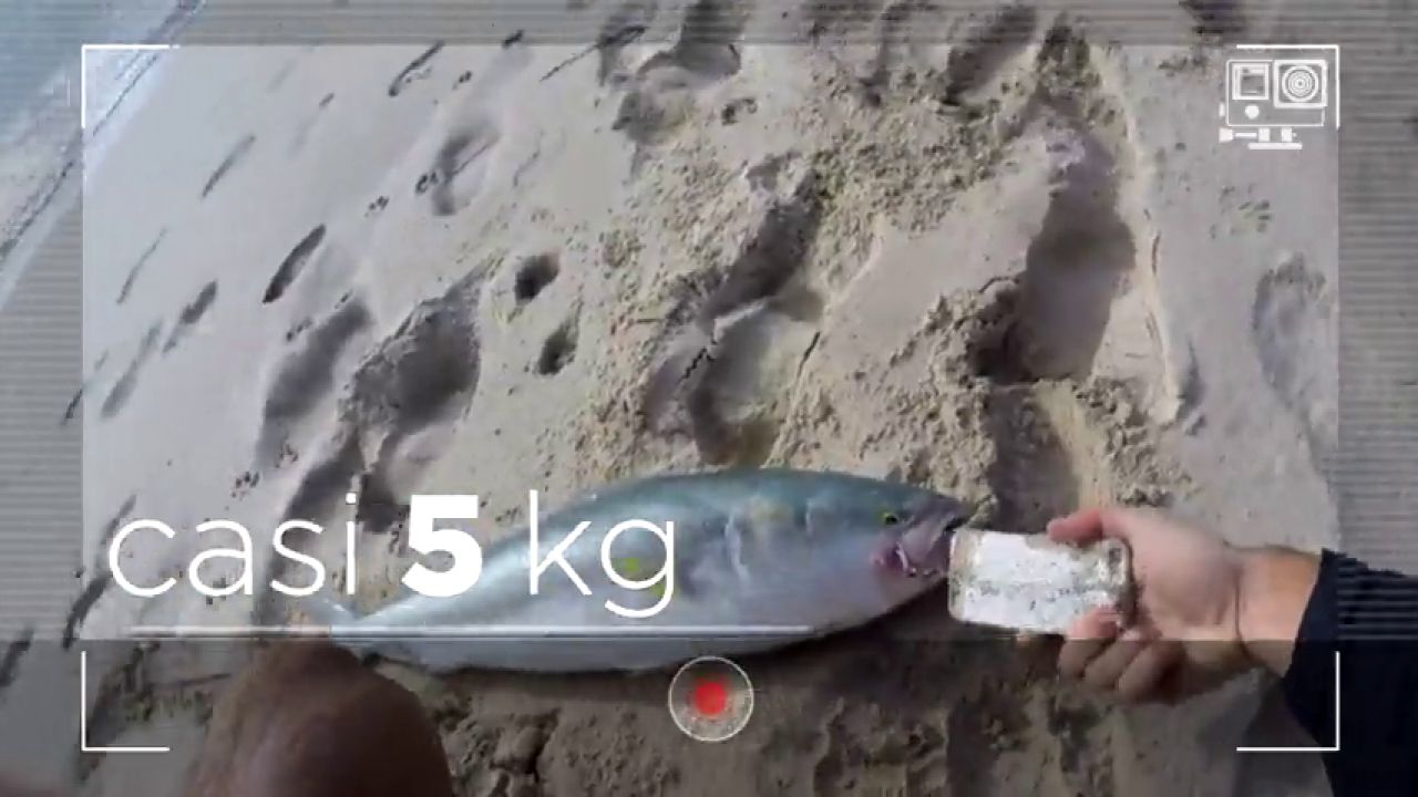 Trucos Para Pescar Calamares Desde Tierra