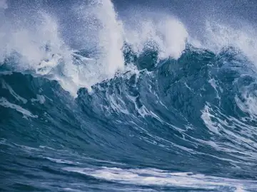 Tsunami Tsunami