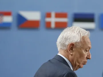 Margallo en una imagen de archivo Margallo en una imagen de archivo