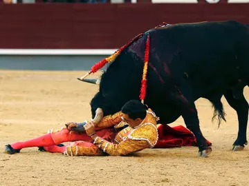 El diestro Paco Ureña sufre una cogida en la Feria de San Isidro El diestro Paco Ureña sufre una cogida en la Feria de San Isidro