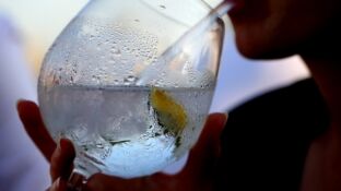 Ginebras