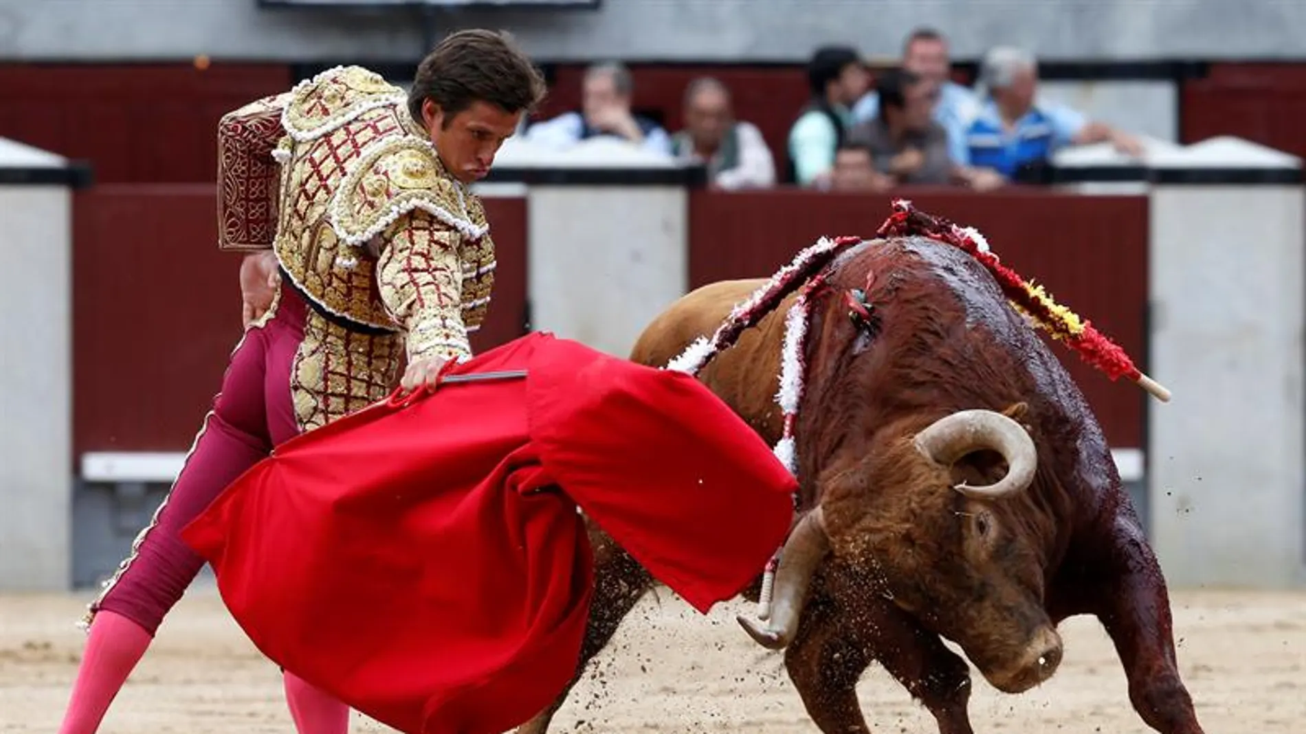 El matador 'El Juli' dando uno de los pases a un toro 