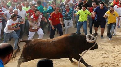 Animalistas anuncian acciones legales contra el toro enmaromado de Benavente