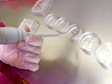 Laboratorio de técnicas de reproducción asistida