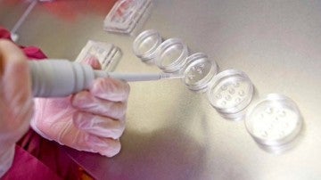 Laboratorio de técnicas de reproducción asistida