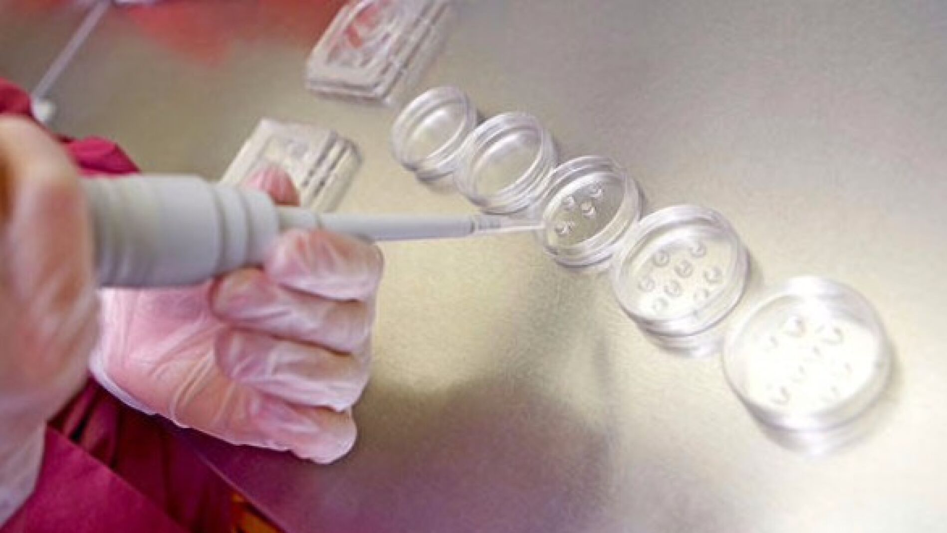 Laboratorio de t&eacute;cnicas de reproducci&oacute;n asistida