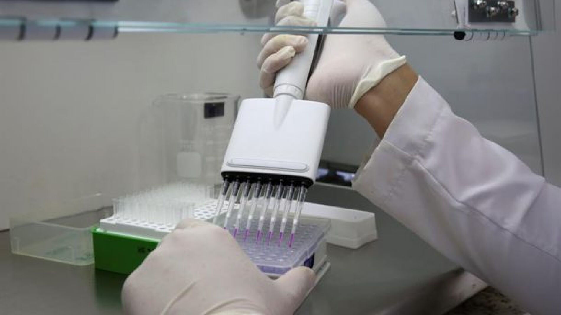 Imagen de pruebas en un laboratorio 