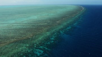 La Gran Barrera de Coral, en Australia