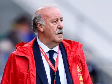Vicente del Bosque durante el entrenamiento de España Vicente del Bosque durante el entrenamiento de España