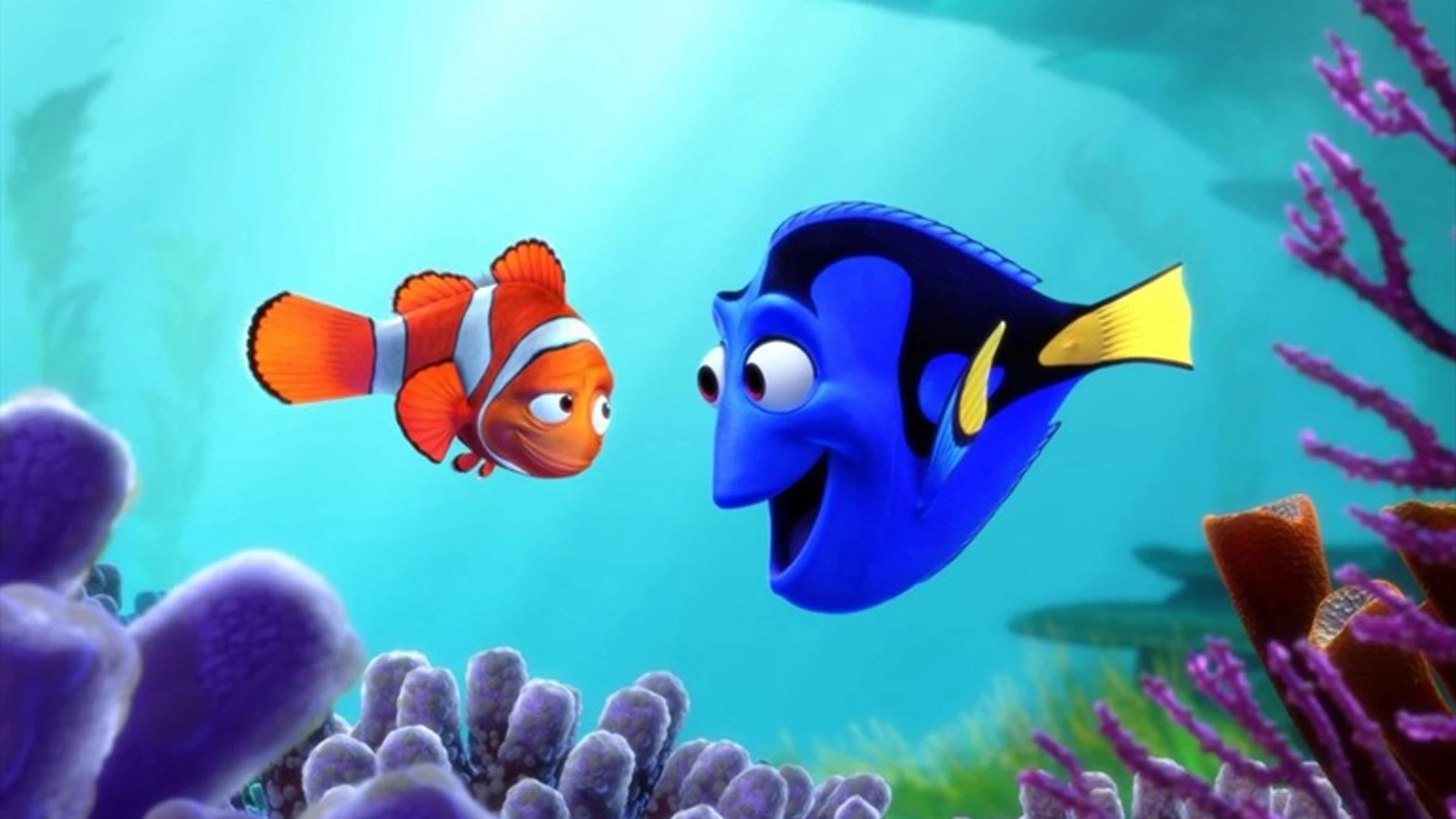 Buscando a Nemo Buscando a Nemo