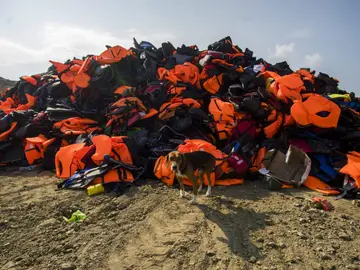 Chalecos de Inmigrantes Chalecos de Inmigrantes