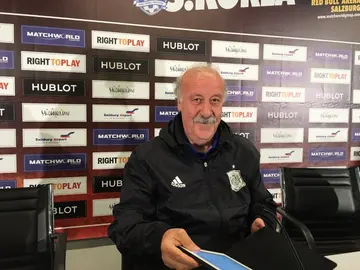 Vicente del Bosque, durante la rueda de prensa Vicente del Bosque, durante la rueda de prensa