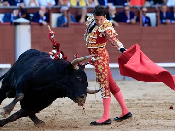 El diestro José María Manzanares da un pase con la muleta durante la Corrida de la Beneficencia El diestro José María Manzanares da un pase con la muleta durante la Corrida de la Beneficencia