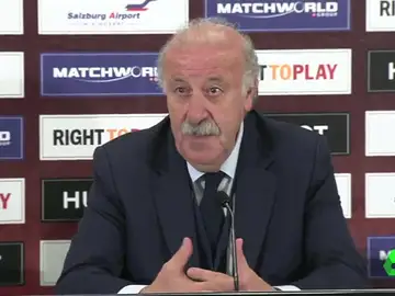 Vicente del Bosque, durante una rueda de prensa Vicente del Bosque, durante una rueda de prensa