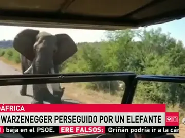 Frame 9.420295 de: elefante Frame 9.420295 de: elefante