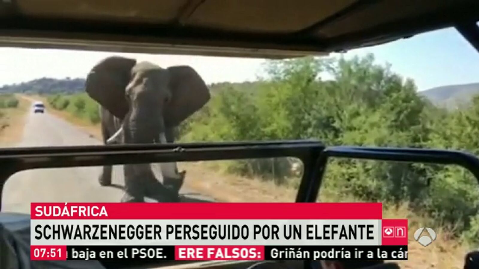Un elefante persigue el coche en el que viaja Schwarzenegger en Sudáfrica