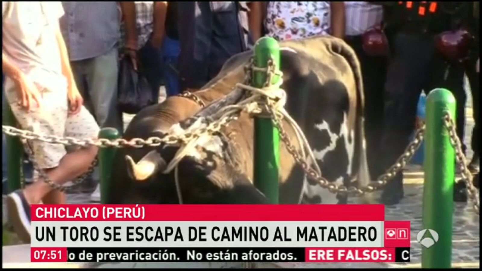 Un toro ataca a varias personas tras escaparse en una ciudad peruana