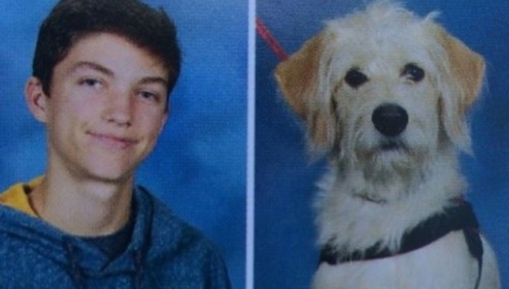 Harry y Taffy en el anuario