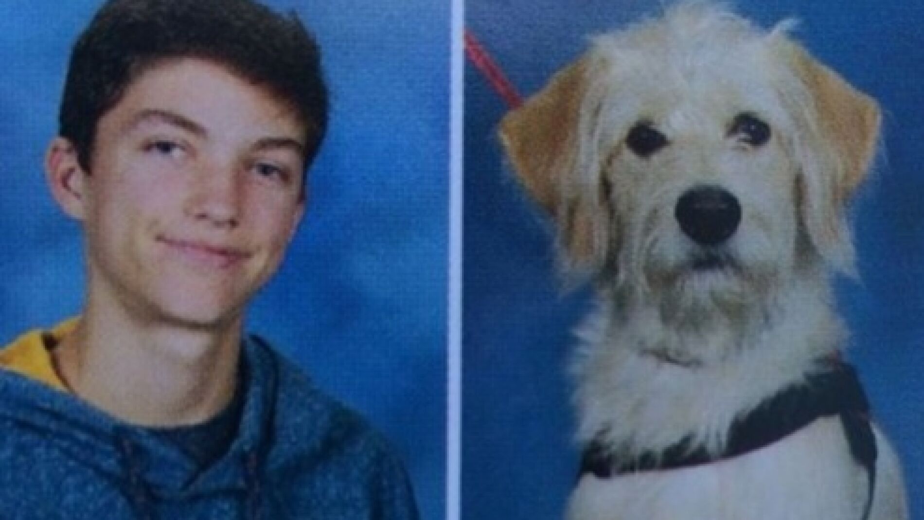 Harry y Taffy en el anuario