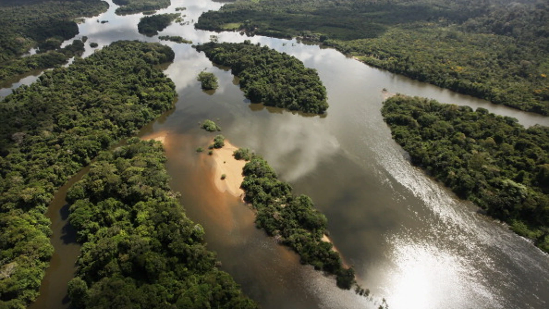 El río Xingu El río Xingu
