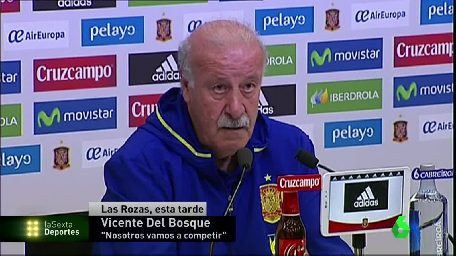 Del Bosque, sobre un posible atentado en la Eurocopa: 