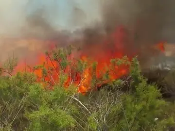 Frame 42.145053 de: No se descarta que el fuego fuera intencionado Frame 42.145053 de: No se descarta que el fuego fuera intencionado