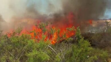 No se descarta que el fuego en Maspalomas fuera intencionado