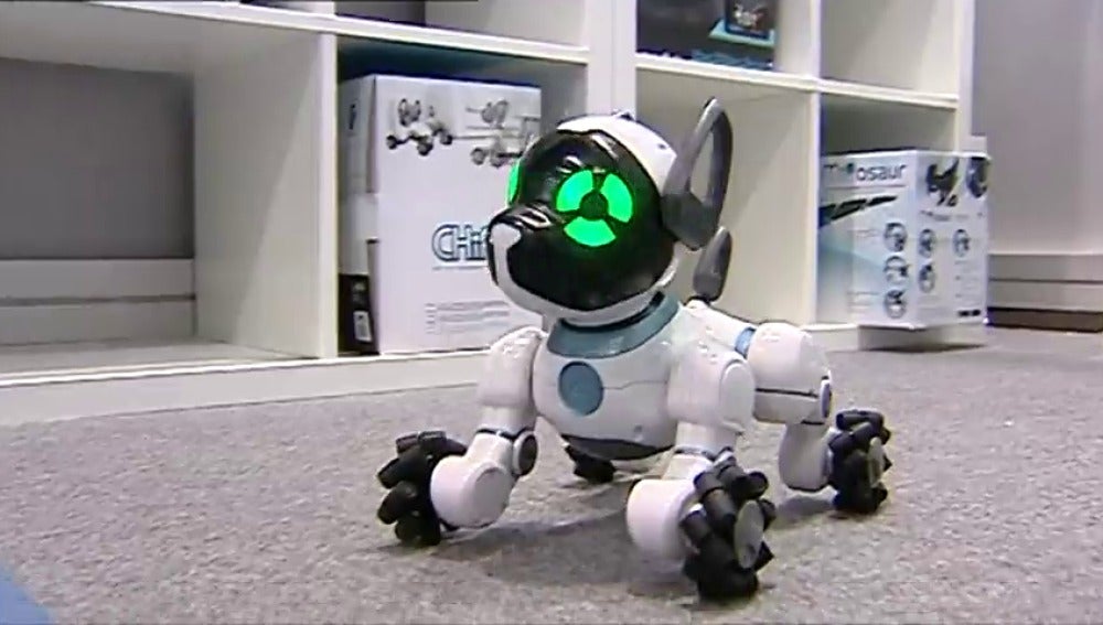 Frame 26.233652 de: Humanoides, mascotas robotizadas o vehículos plegables se presentan en Valencia