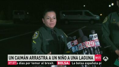Buscan a un niño de dos años que fue arrastrado a una laguna por un caimán en Florida