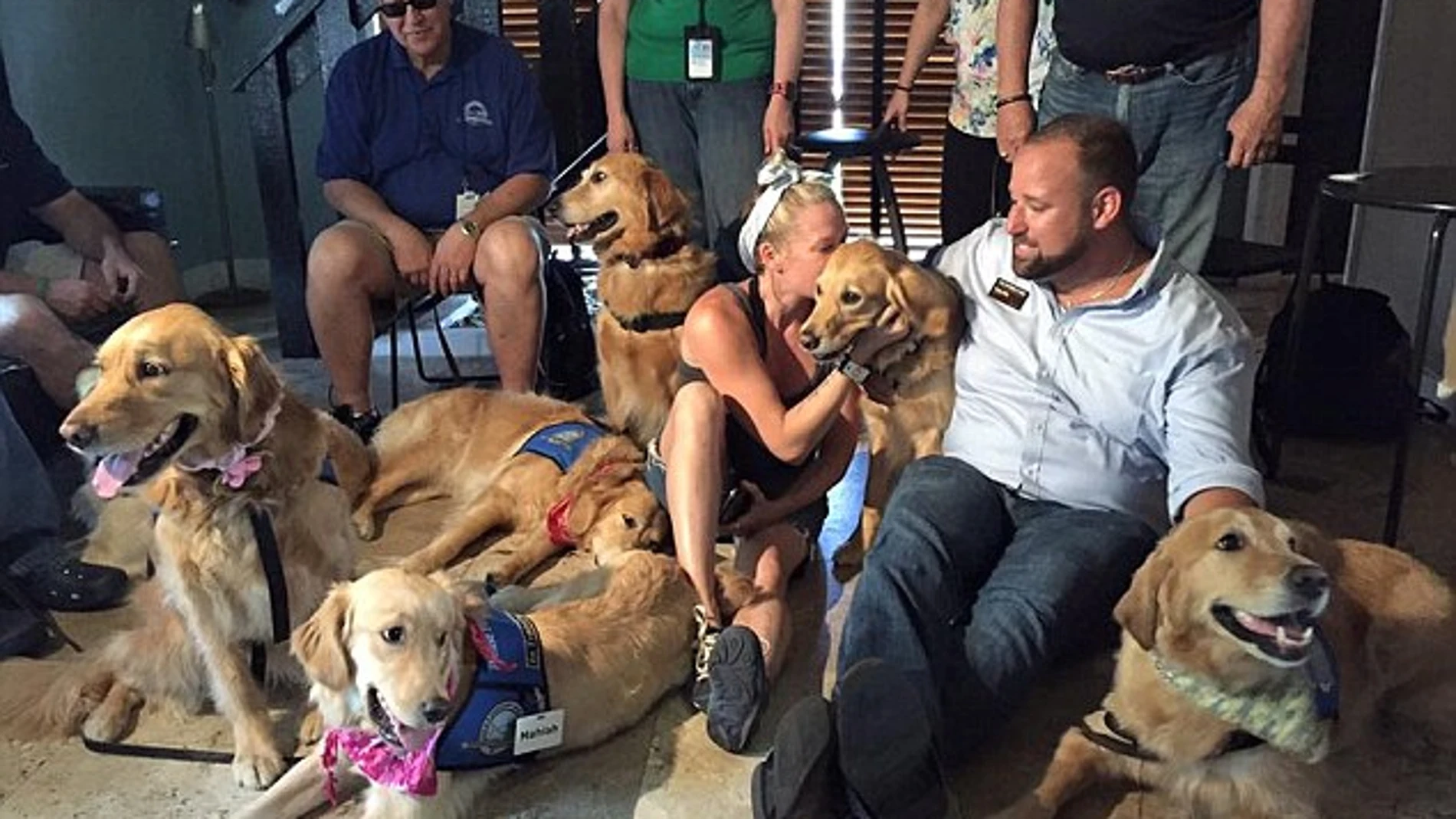 Varios de los animales ya en Orlando Varios de los animales ya en Orlando