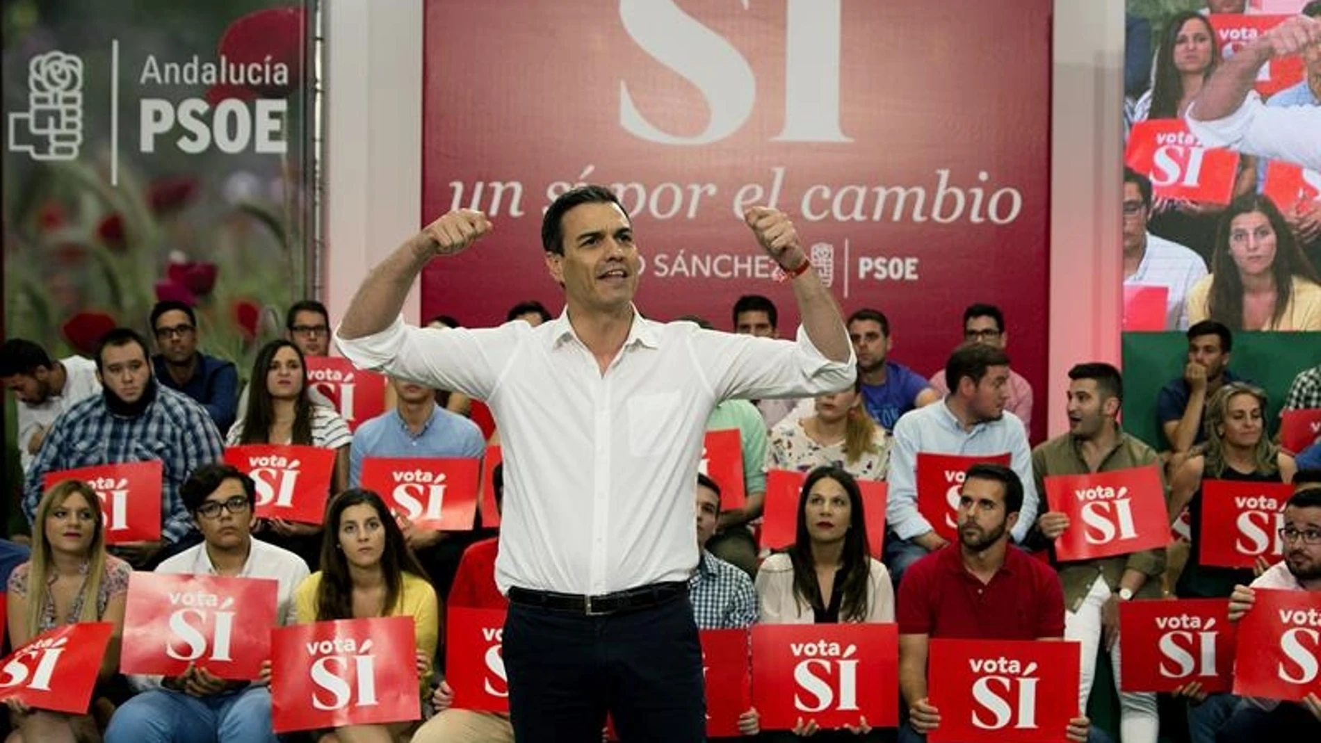 El líder del PSOE, Pedro Sánchez El líder del PSOE, Pedro Sánchez