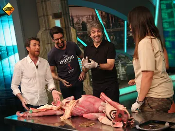 Descubre la anatomía canina hiperrealista Descubre la anatomía canina hiperrealista