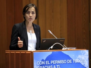 La exdirectora general de Tráfico, María Seguí
