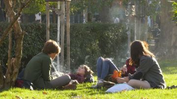 Un grupo de chicos fumando en el parque