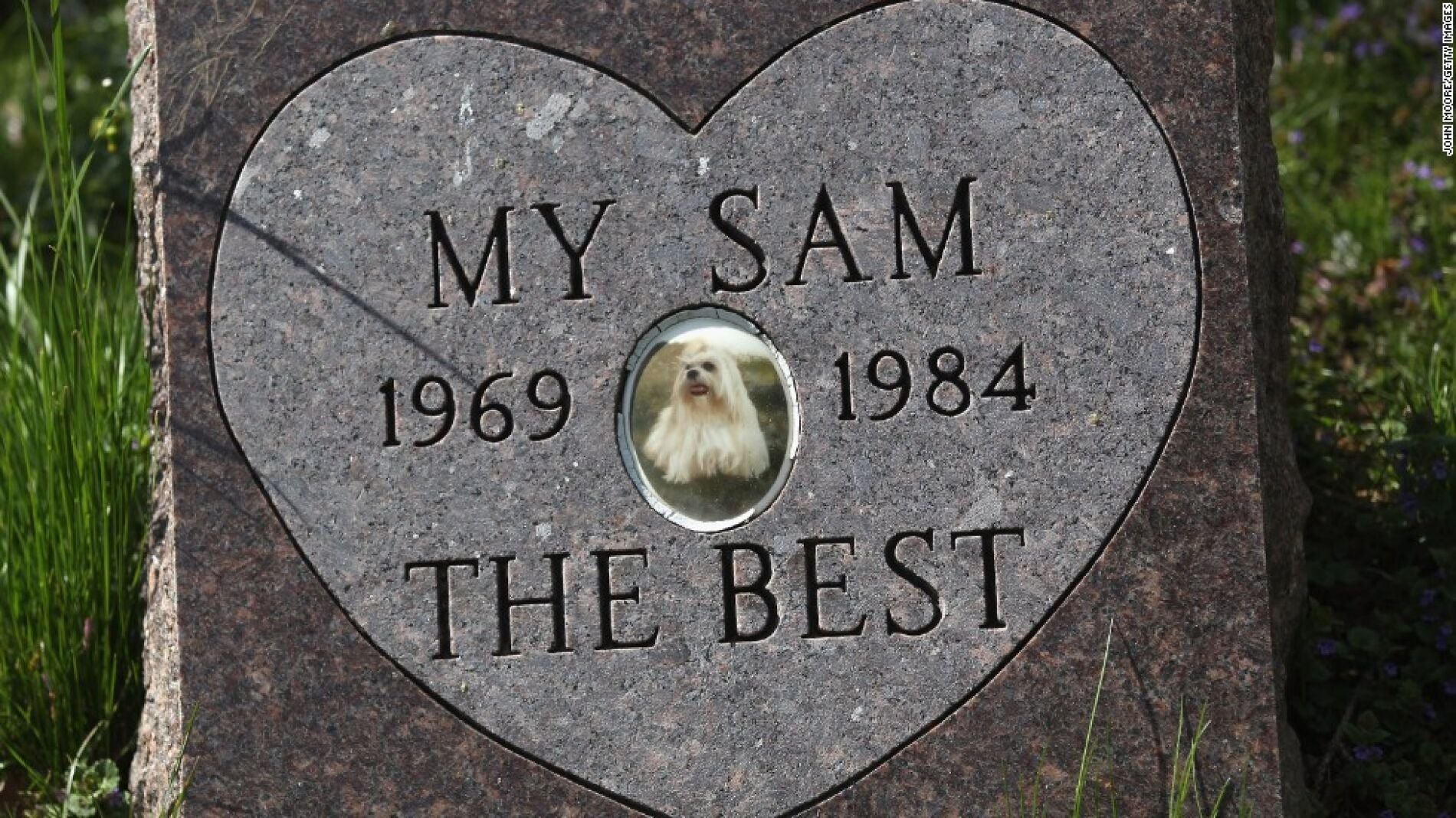 Cementerio de mascotas en Nueva York