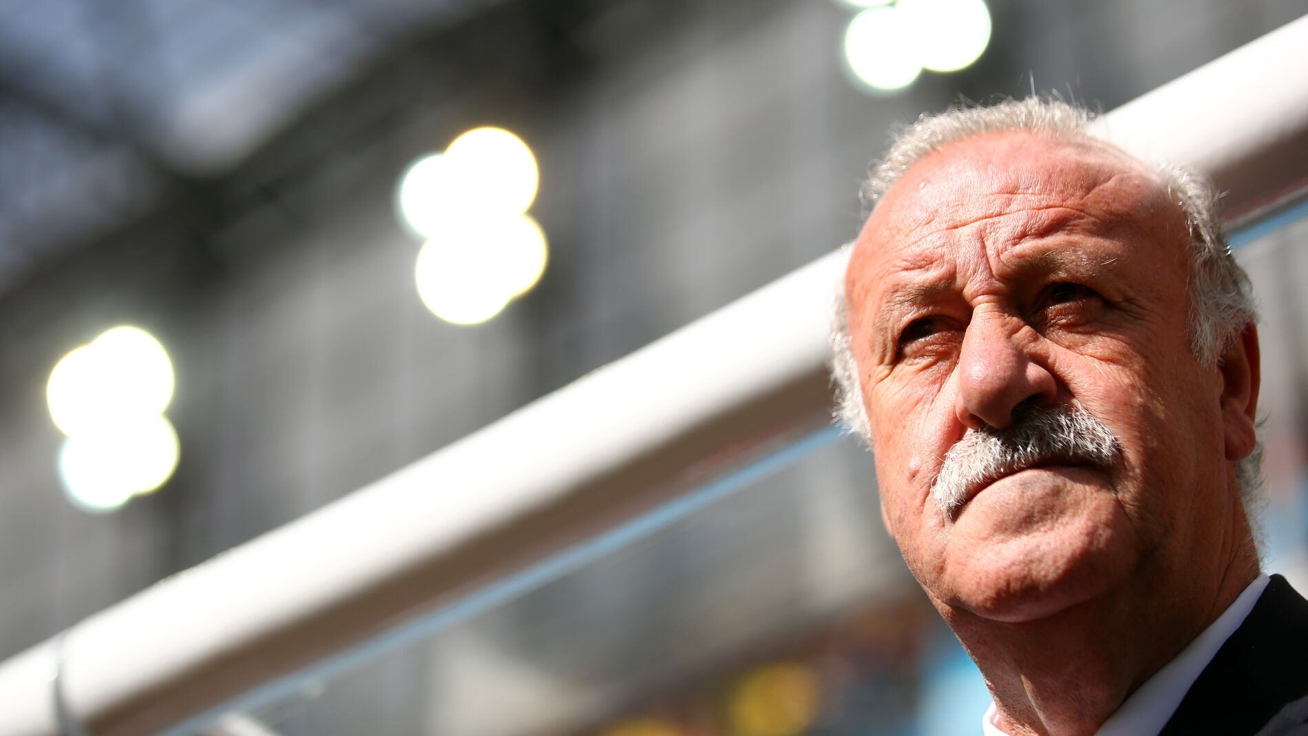 Del Bosque, en el partido ante Italia