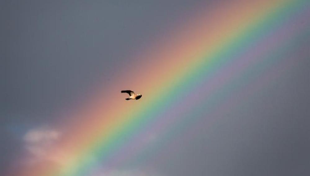 Arcoiris en Alemania (27-06-2016)