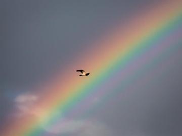 Arcoiris en Alemania (27-06-2016)