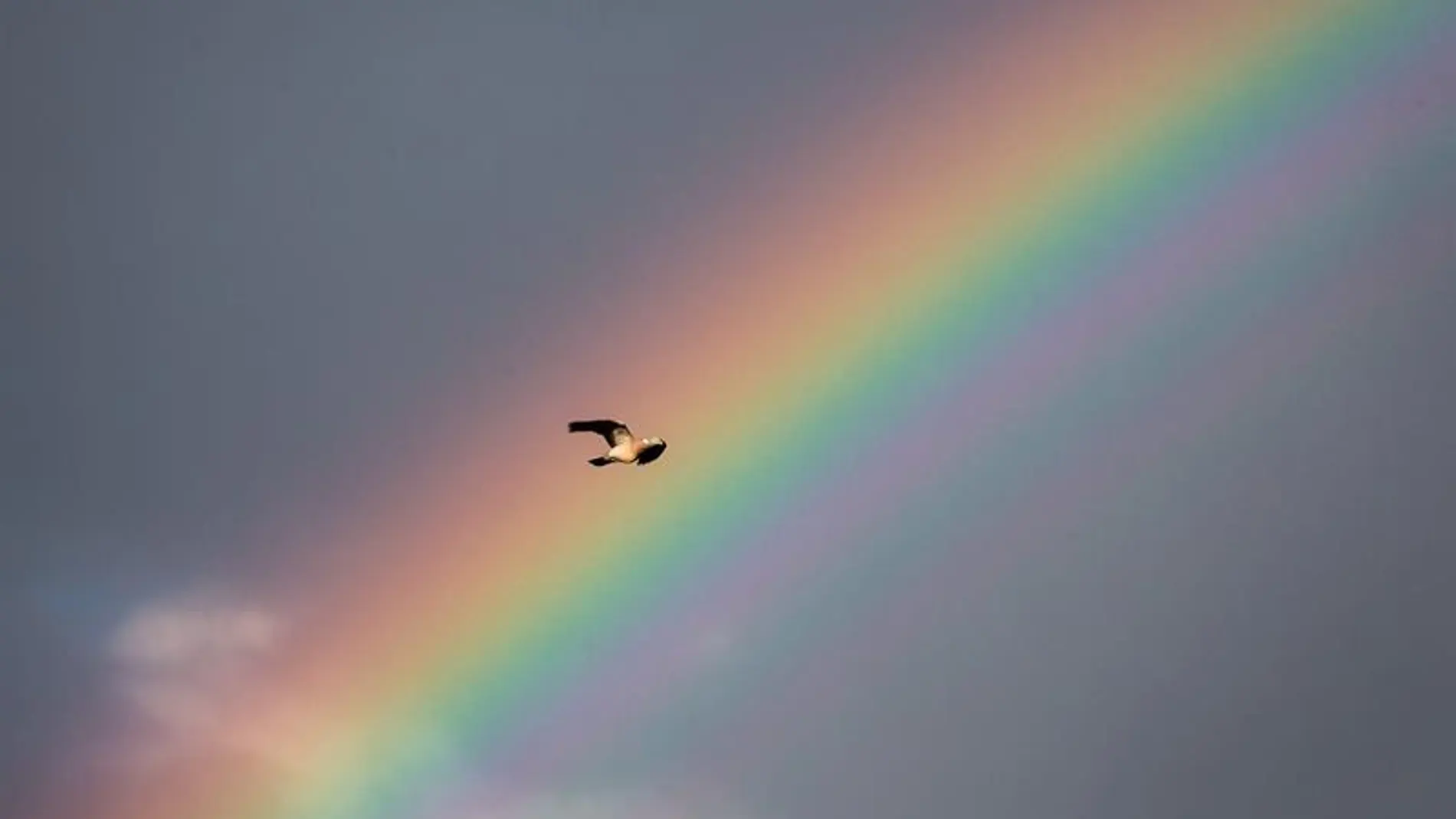 Arcoiris en Alemania (27-06-2016) Arcoiris en Alemania (27-06-2016)