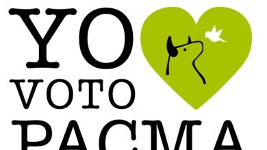 Pacma no consigue representación a pesar de quintuplicar en votos a UPyD, y superar a PNV, Bildu y Coalición Canaria