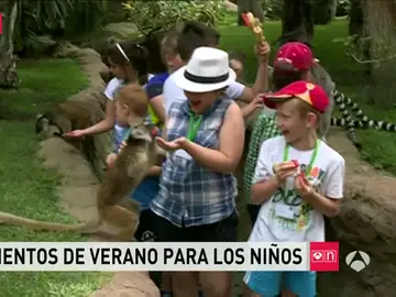 Niños en campamento de verano Niños en campamento de verano