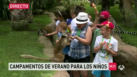 Ni&ntilde;os en campamento de verano