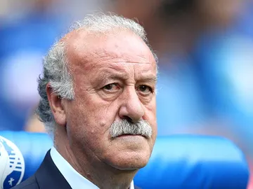 Del Bosque Del Bosque