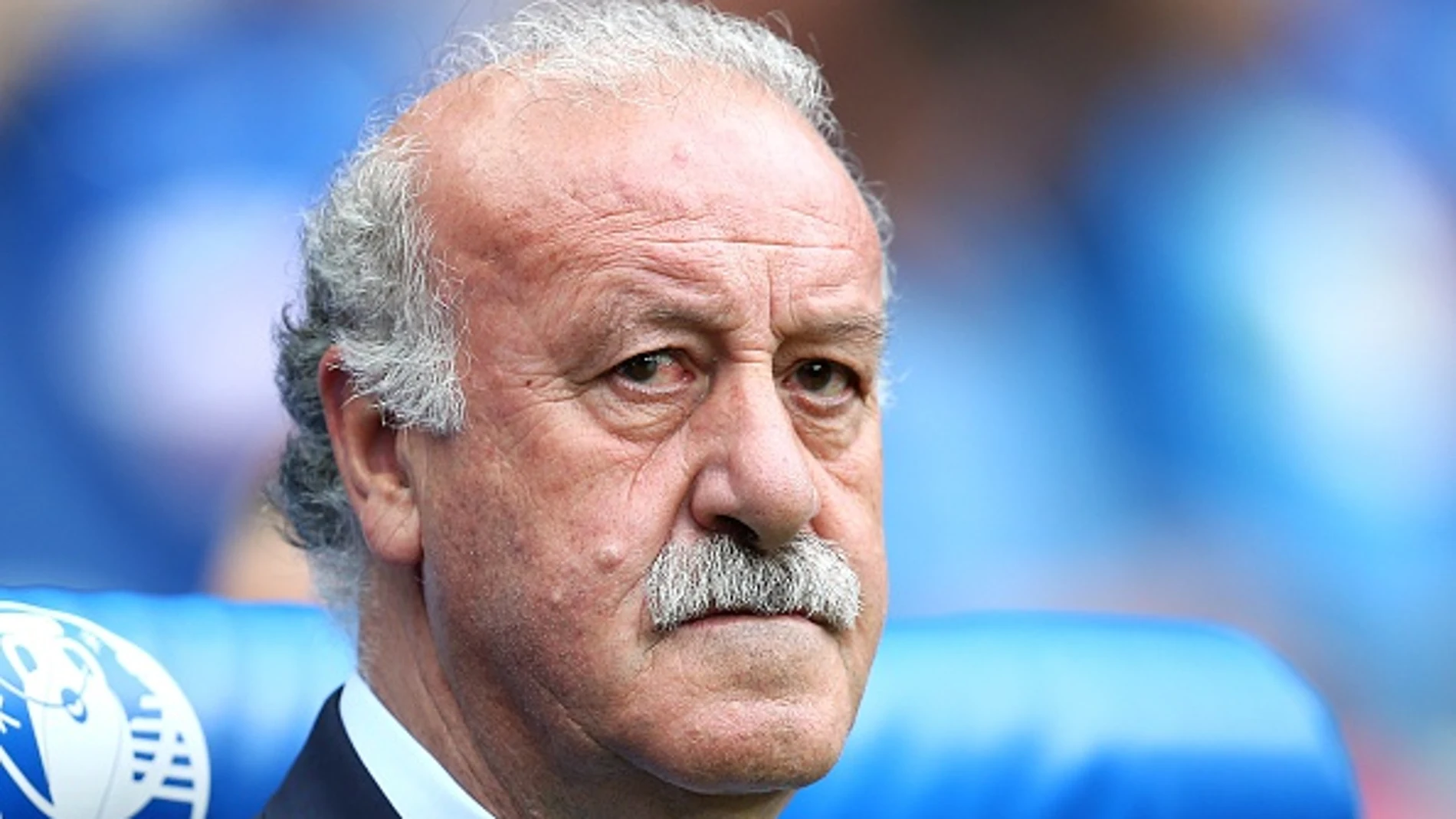 Del Bosque Del Bosque