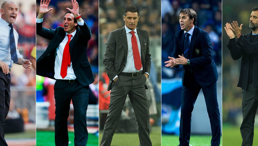 ¿Quién debería sustituir a Del Bosque?