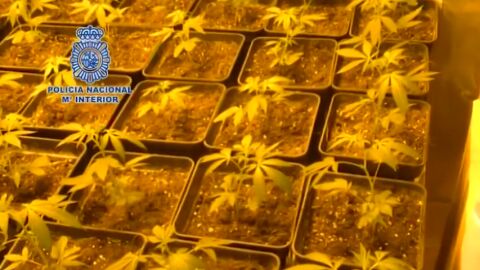Frame 16.302313 de: La Polic&iacute;a Nacional y la polic&iacute;a francesa desarticulan un grupo internacional de narcotraficantes con base en la Costa Brava