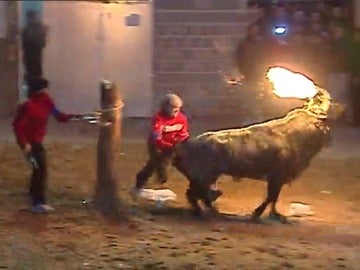 Frame 35.61206 de: Tensión en el ayuntamiento de Valencia por la prohibición de festejos taurinos